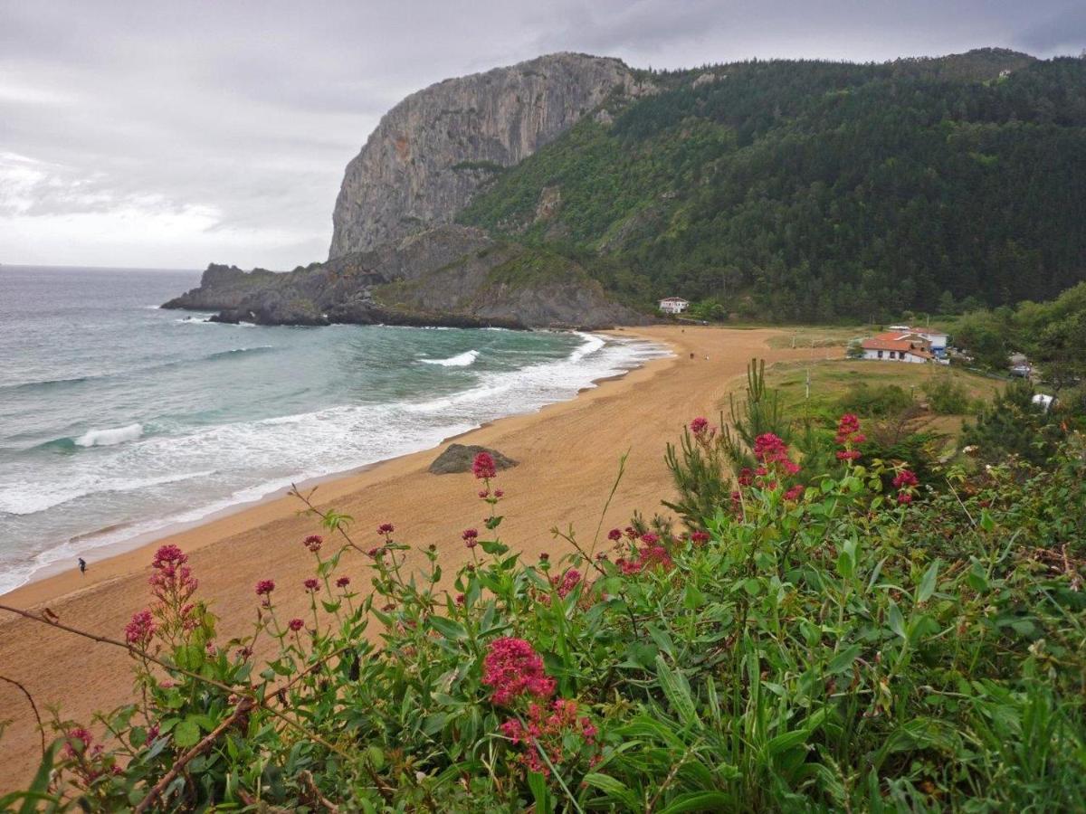 Apartment Urdaibai *