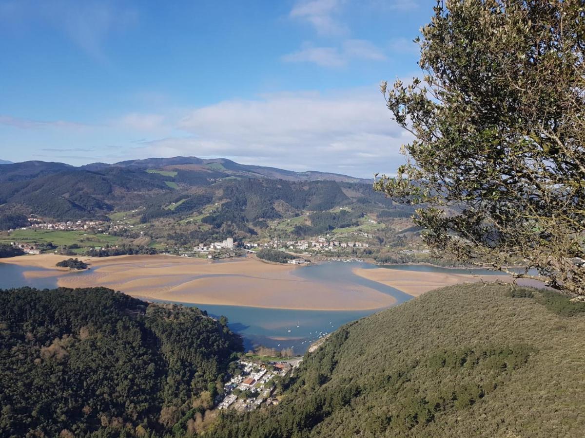 Urdaibai Appartement